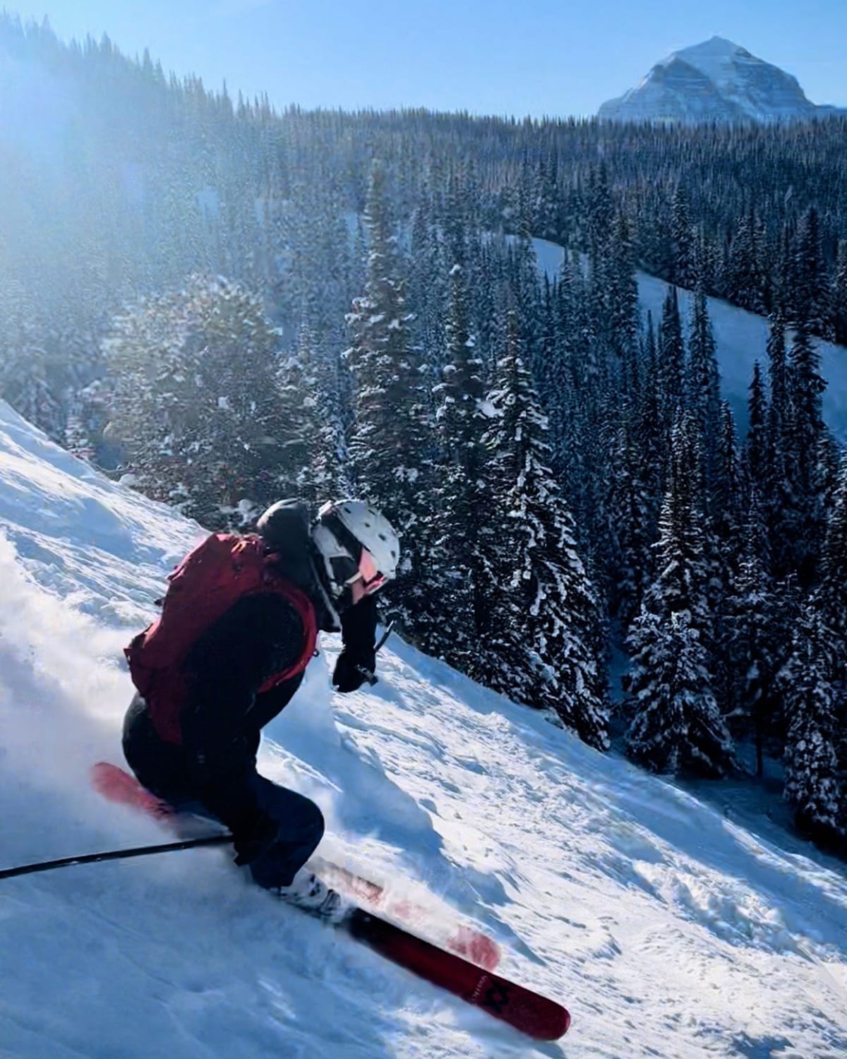 John carving a turn through powder, snow-covered pines and a peak beyond.